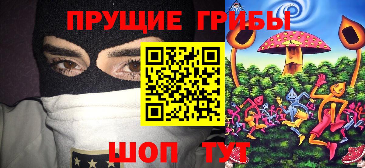 Златоуст  Галлюциногенные грибы мухоморы  Вход с VPN 