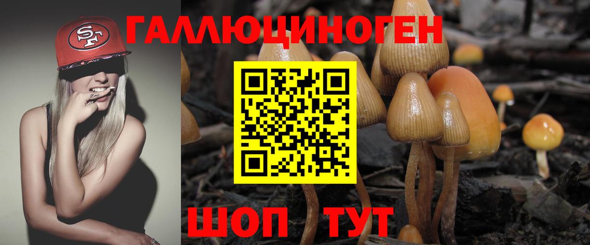 Псилоцибиновые грибы Magic Shrooms Златоуст